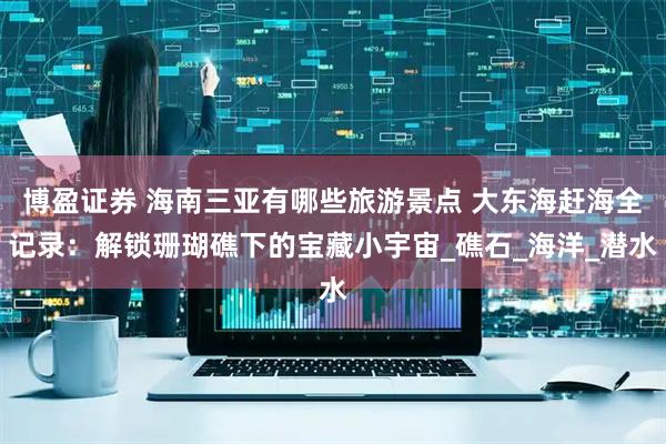 博盈证券 海南三亚有哪些旅游景点 大东海赶海全记录：解锁珊瑚礁下的宝藏小宇宙_礁石_海洋_潜水