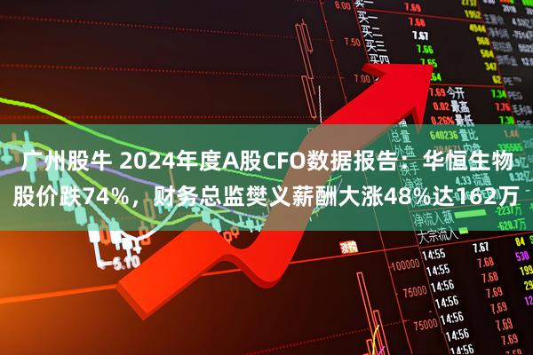 广州股牛 2024年度A股CFO数据报告：华恒生物股价跌74%，财务总监樊义薪酬大涨48%达162万