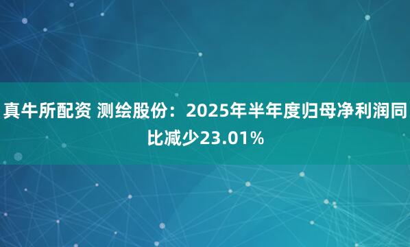 真牛所配资 测绘股份：2025年半年度归母净利润同比减少23.01%