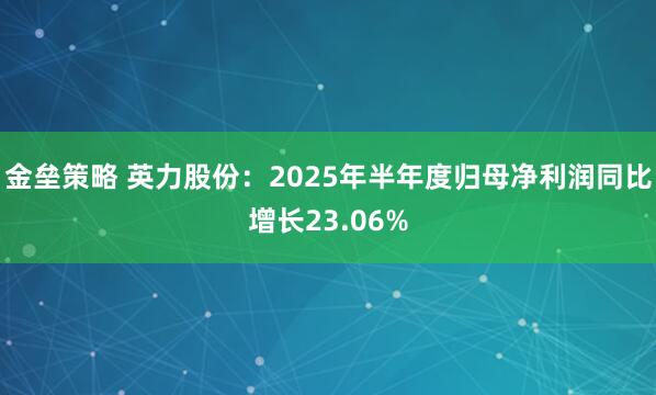 金垒策略 英力股份：2025年半年度归母净利润同比增长23.06%